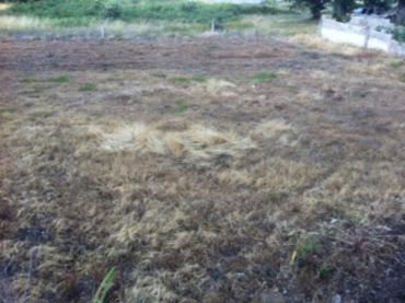 Terreno residenziale in vendita a Corullón