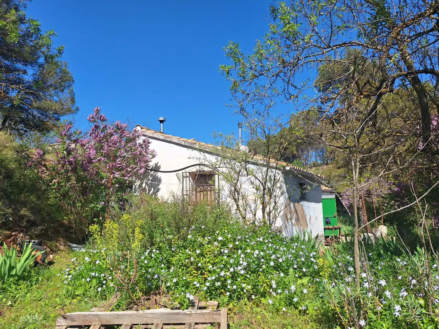 Jardí de Finca rústica en venda en Alcoy / Alcoi amb Traster i Moblat