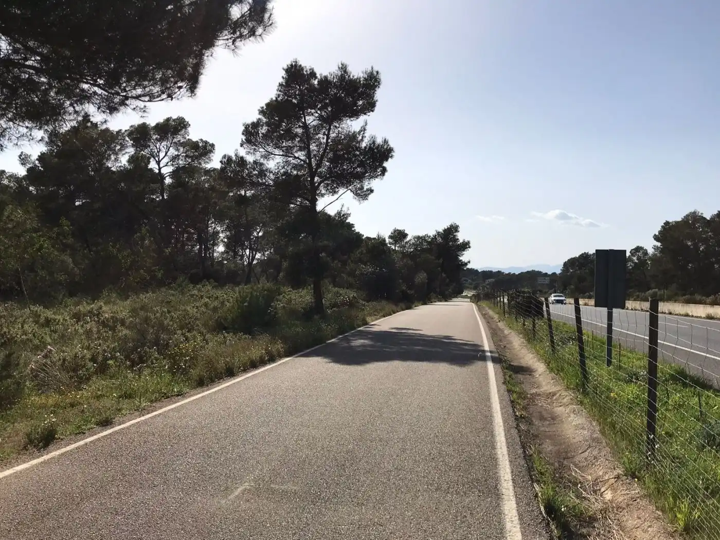 Terrenys i solars en venda a Algaida