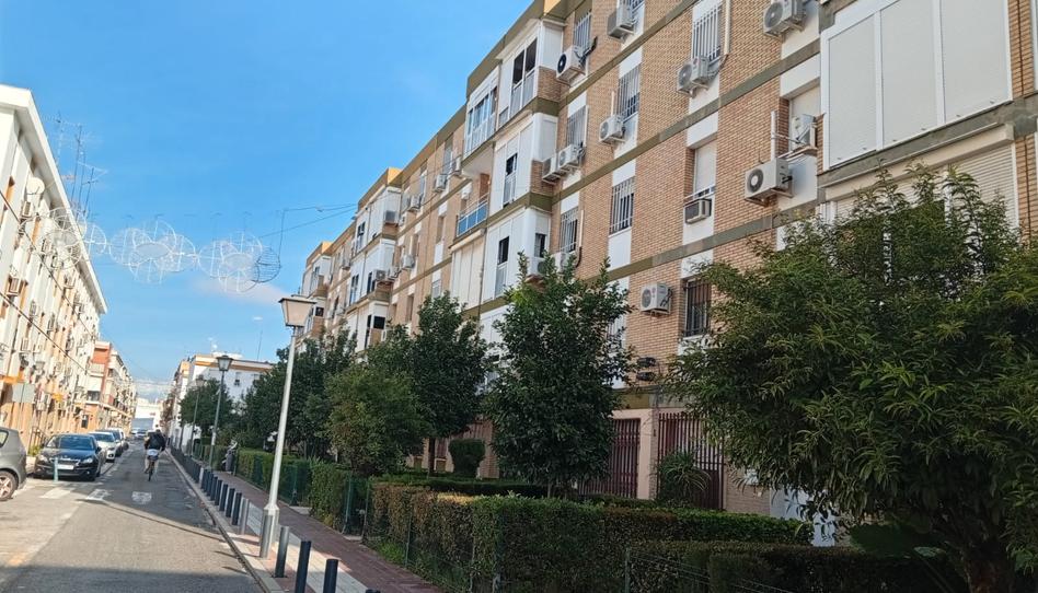 Photo 1 of Flat for sale in San Jerónimo - La Bachillera, Sevilla