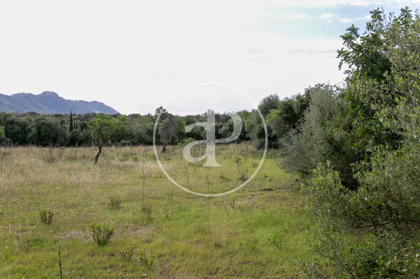 Terreny residencial en venda a Av. Montferrutx, imagen 26
