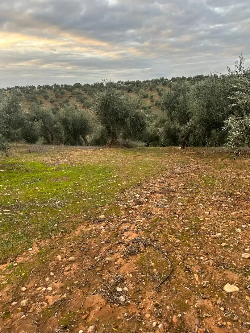 Grundstücke zum Verkauf in Andújar