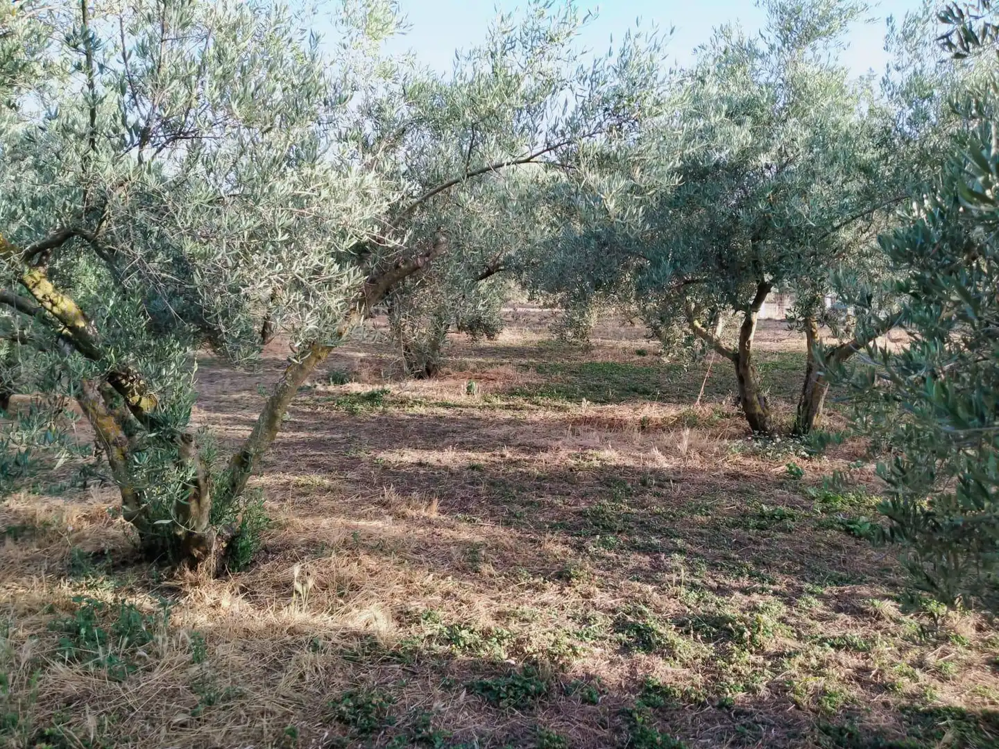 Residencial en venda a Nigüelas