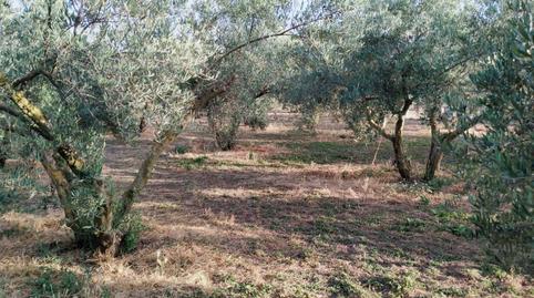 Foto 3 de Residencial en venta en Nigüelas, Granada