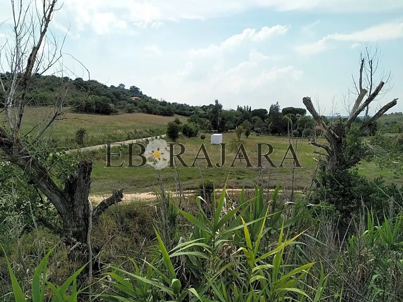 Residencial en venta en Las Herencias