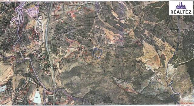 Terreno en Venta en Alcolea