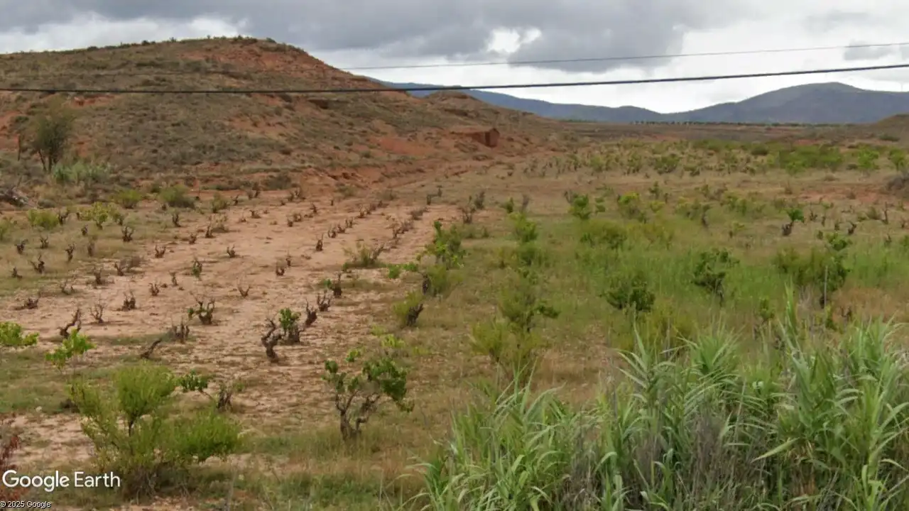 Terreno en venta en Cervera de la Cañada