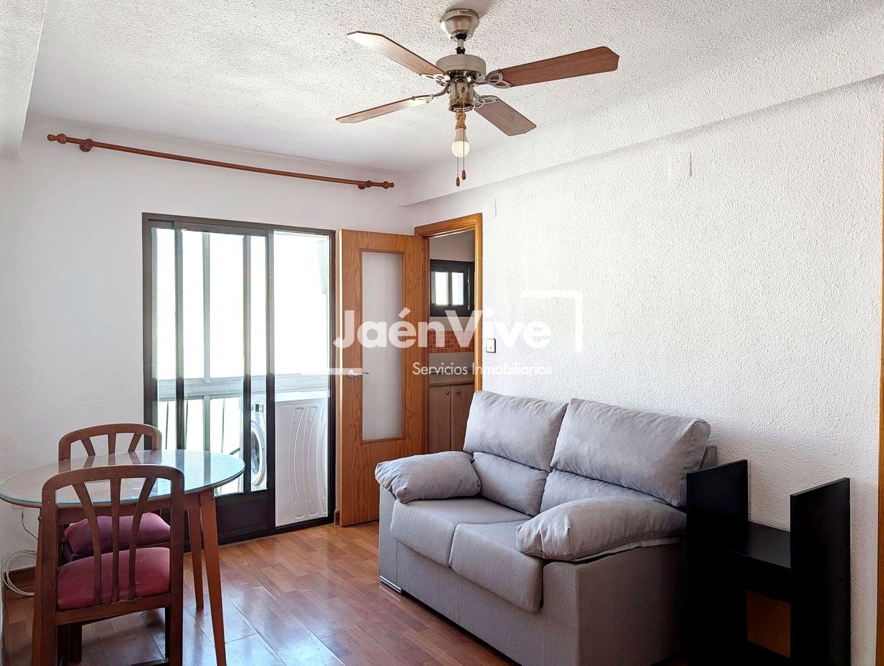 Sala d'estar de Pis de lloguer en  Jaén Capital amb Moblat i Balcó