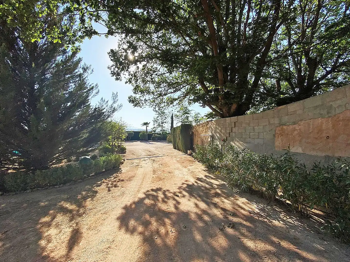 Casa rustica in vendita a El Pinós / Pinoso, imagen 8