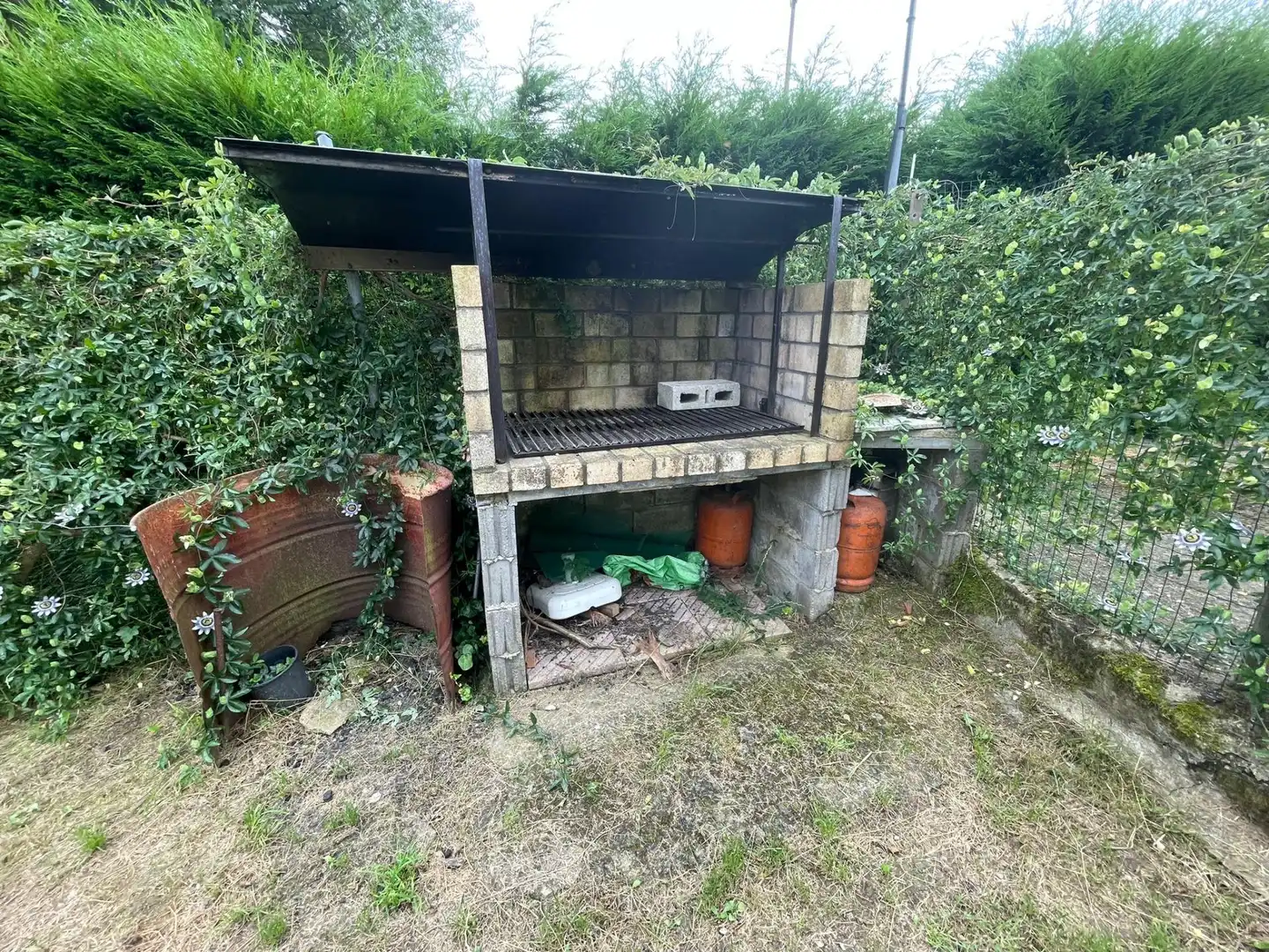 Garden of Land for sale in Santo Adriano