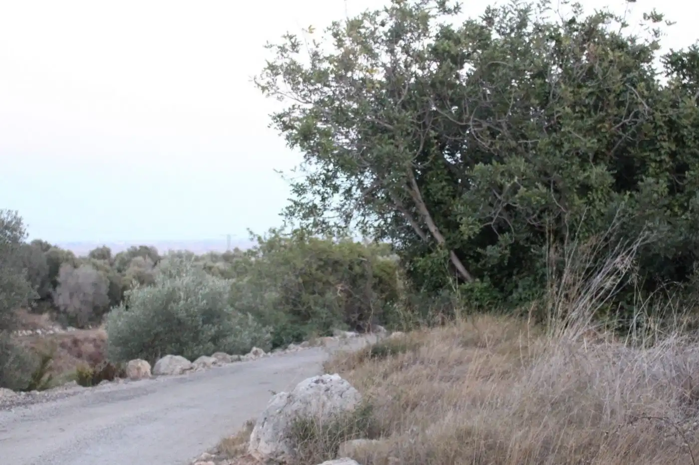 Rustikales Grundstück zum Verkauf in Vial Camino 315, imagen 8