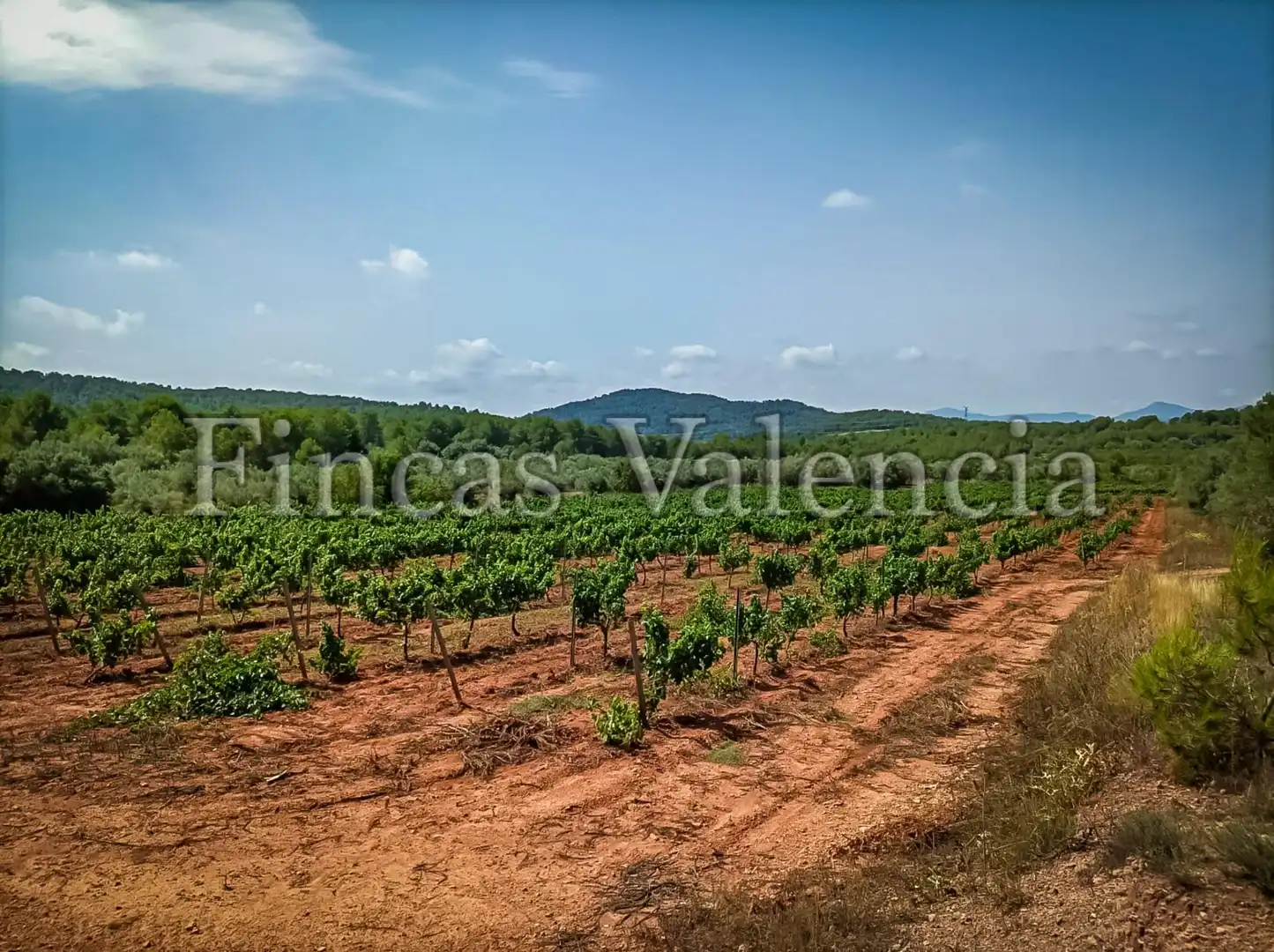 Country homes for sale in Calle SONEJA, Azuébar