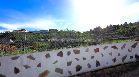 Foto 3 de Finca rústica en venta en La Vega - El Amparo - Cueva del Viento, Icod de los Vinos