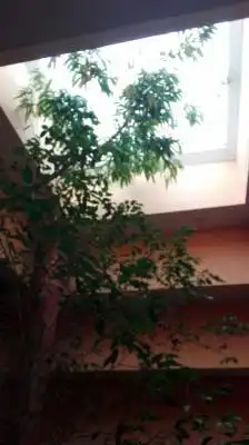 Casa o chalet en venta en Valdefresno con Calefacción, Jardín privado y Trastero