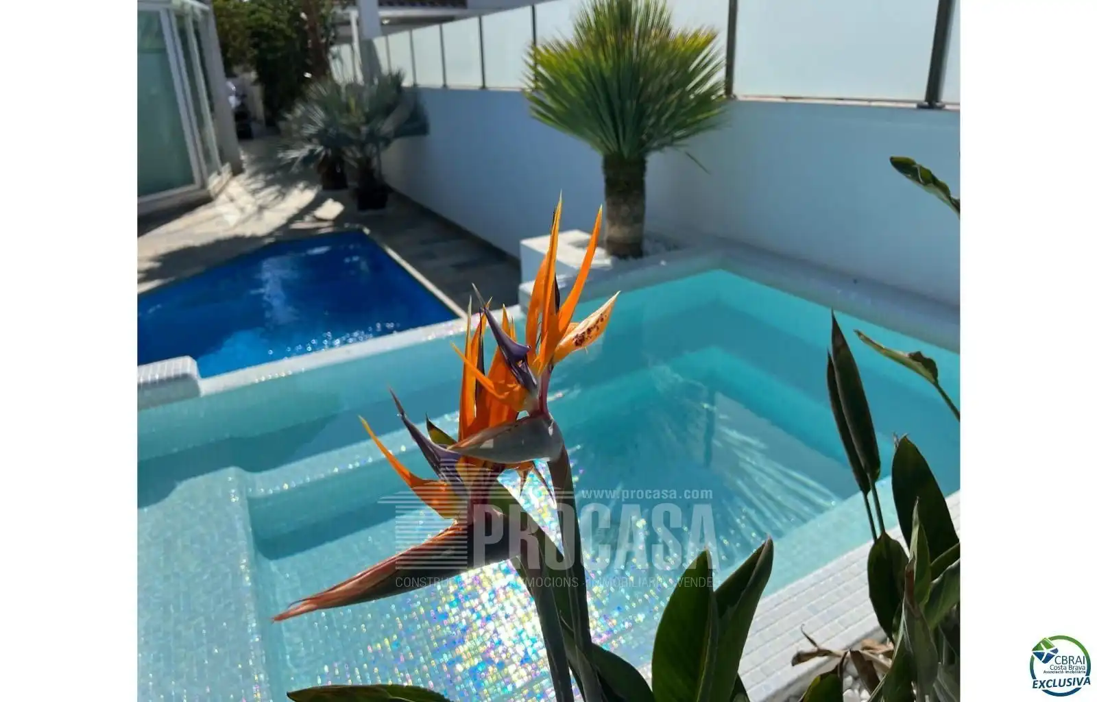 Chalet con piscina en venta en Falconera, imagen 4