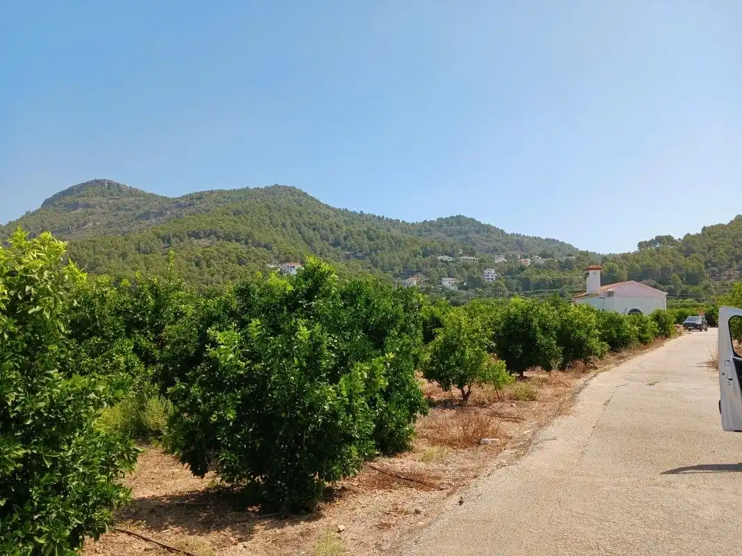 Terreny rústic en venda a Palma de Gandia, imagen 4