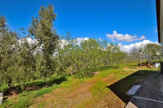 Garten von Country house zum Verkauf in Ronda mit Privatgarten