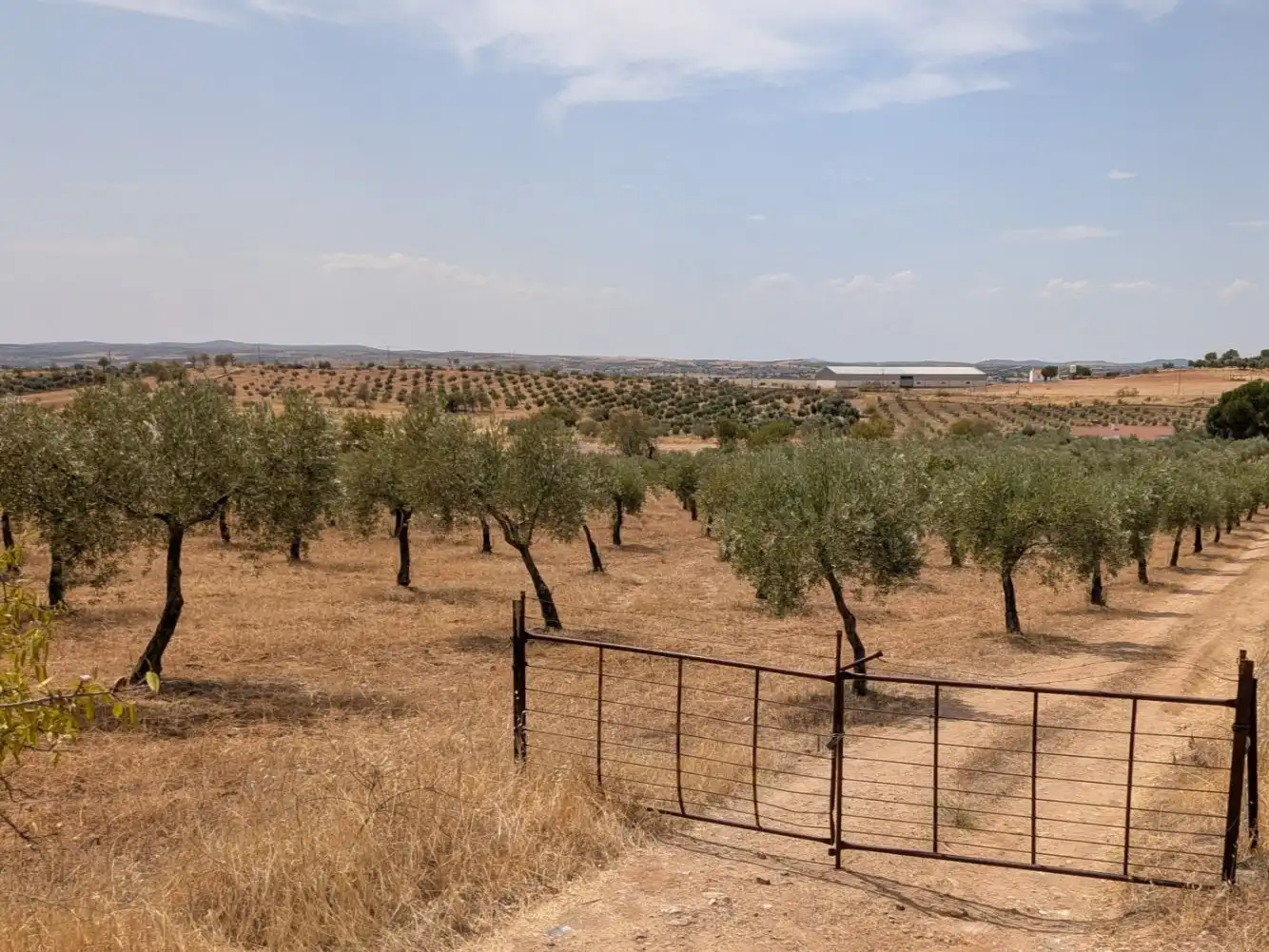 Terreno en venta en Castuera