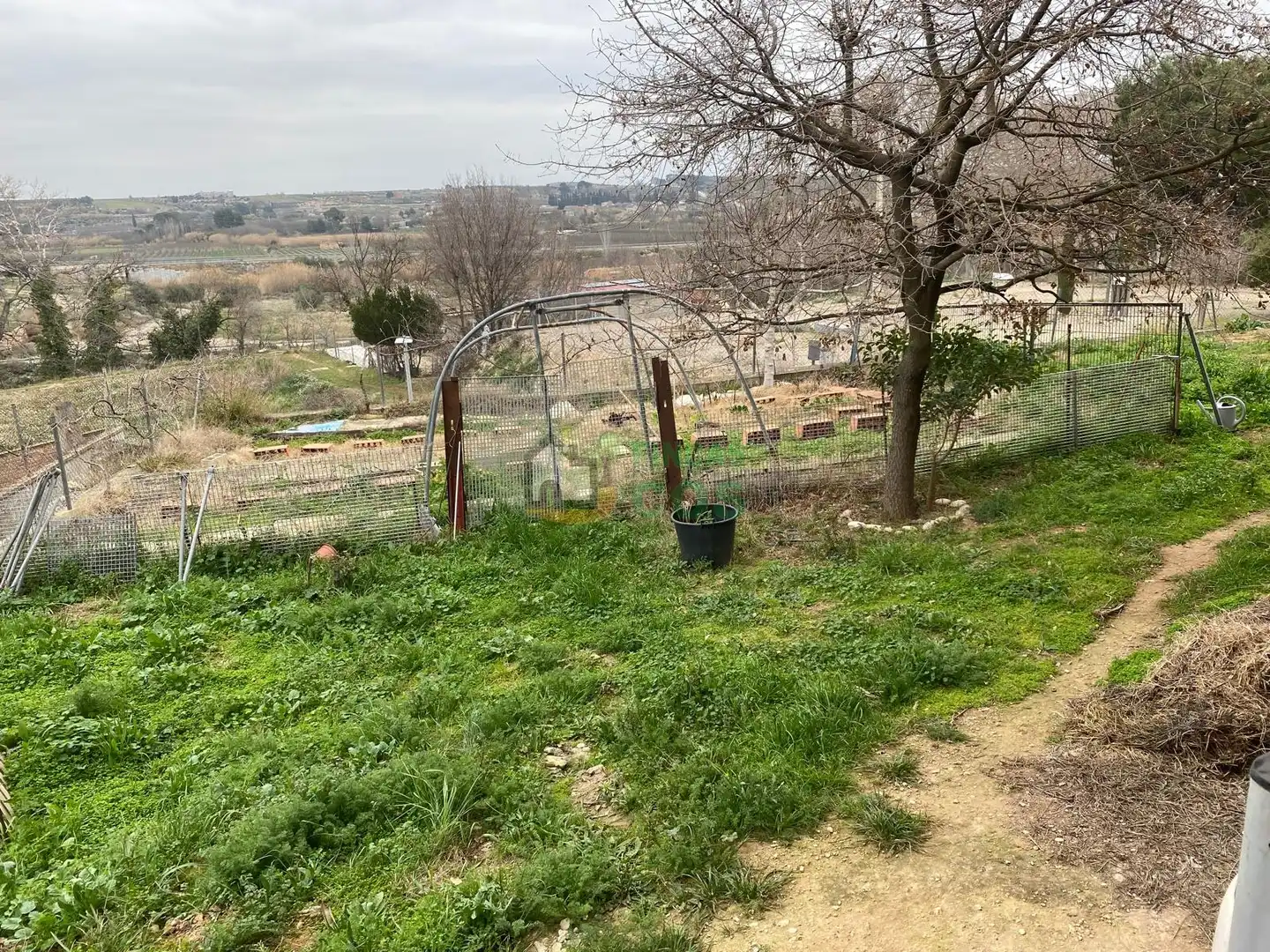 Casa o xalet en venda en Les Borges Blanques amb Calefacció, Jardí privat i Terrassa