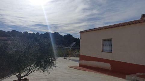Finca con casa y 18 tahullas plantadas de olivos