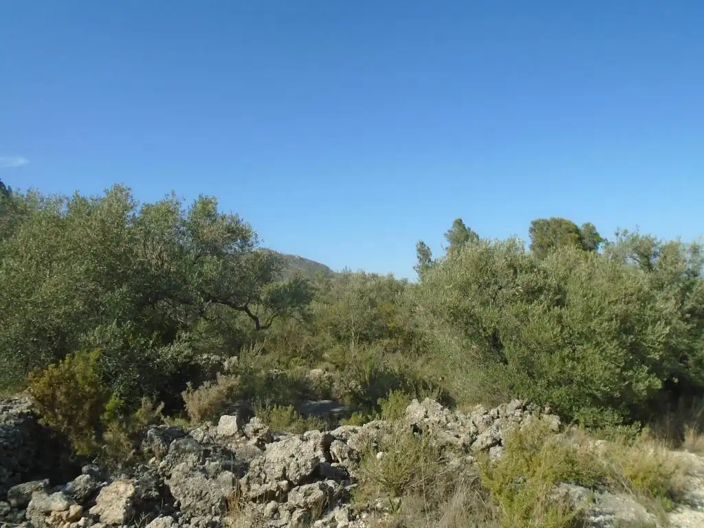 Residential land for sale in Vall D'En Pasto, imagen 10