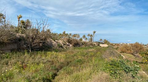 Photo 2 of Industrial land for sale in Algoros, Algorós - El Derramador, Alicante