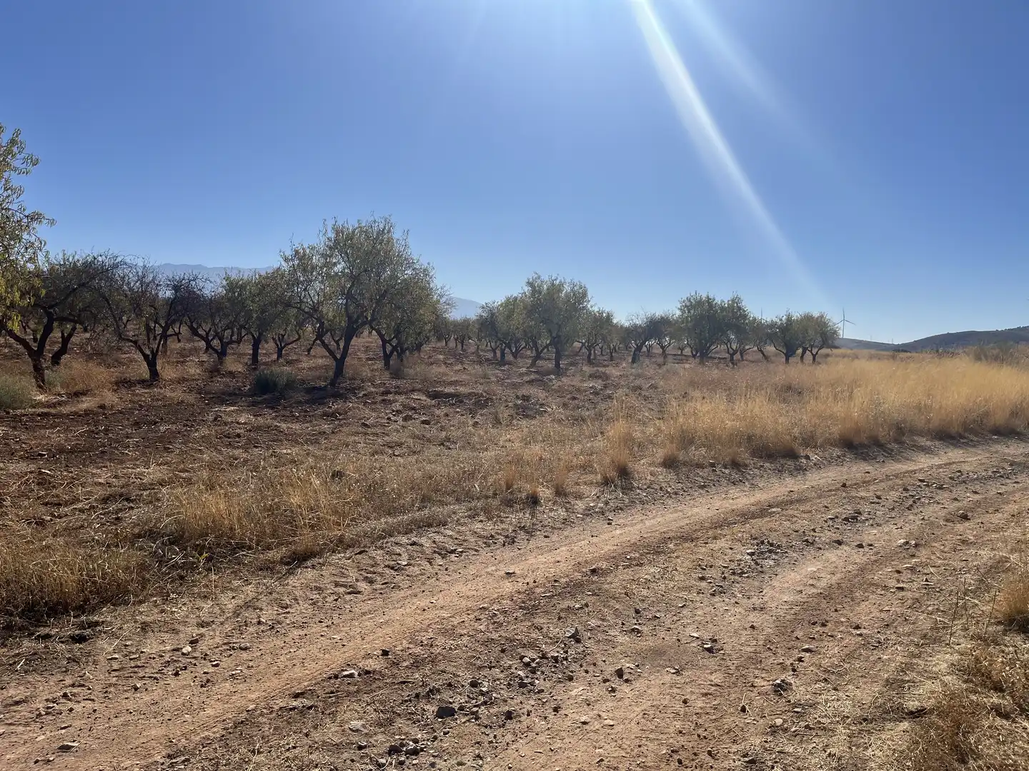 Rustikales Grundstück zum Verkauf in Avenida de Andalucía, imagen 9