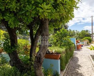 Vista exterior de Casa o xalet en venda en Consell amb Terrassa i Piscina