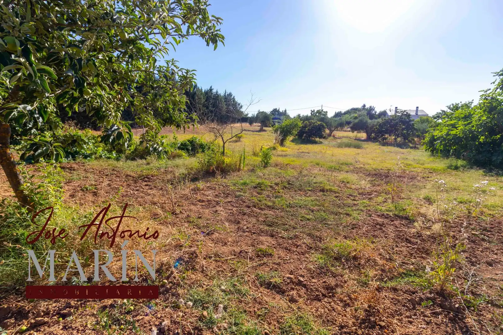 Casa o chalet en venta en Badajoz con Aire acondicionado, Jardín privado y Piscina