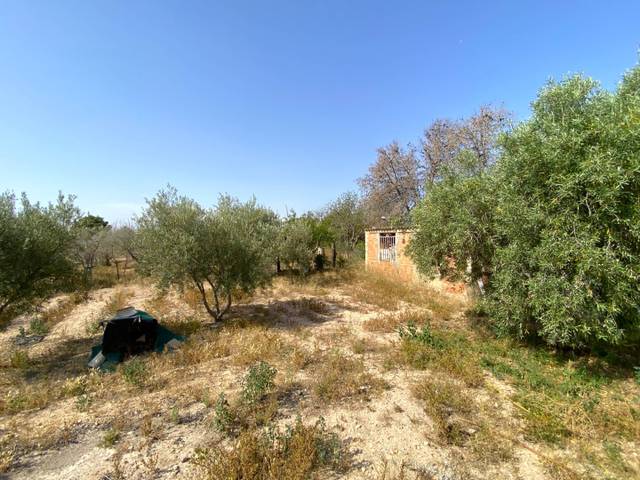 Terreno en Venta en Cañada del Fenollar