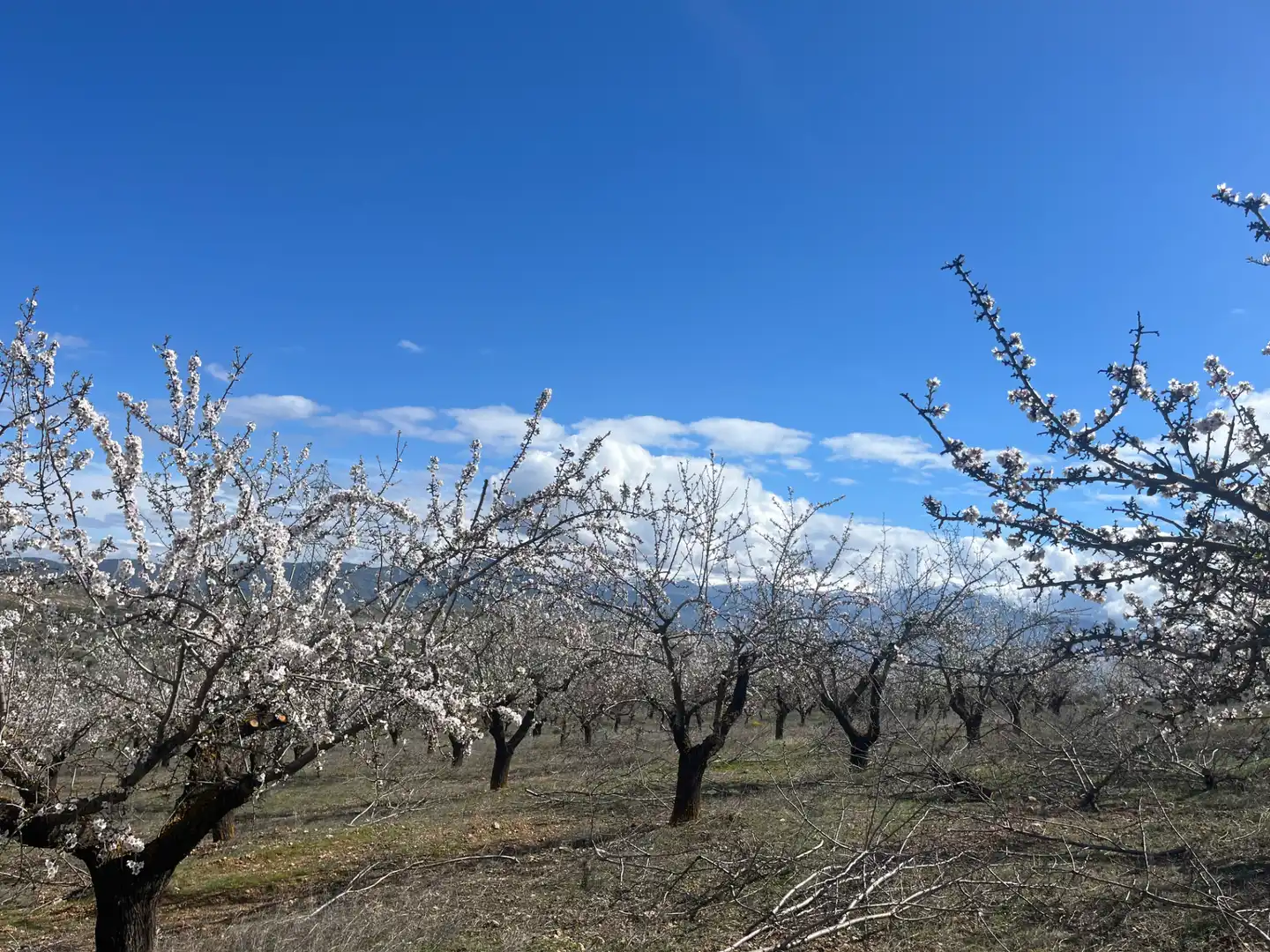 Rustikales Grundstück zum Verkauf in Camino de la Sierra, imagen 3