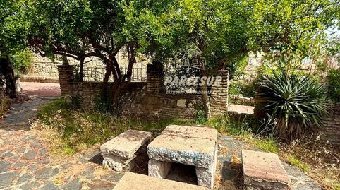 Foto 4 de Finca rústica en venda a Santa Maria de Trassierra, Córdoba Capital