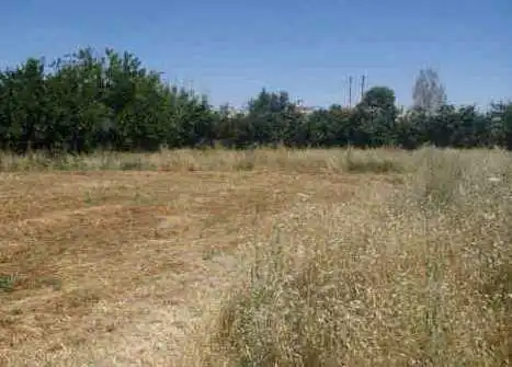 Rural land for sale in Av Torre de Villescas, imagen 8