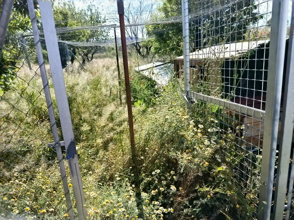 Piso en venta en Teresa de Cofrentes