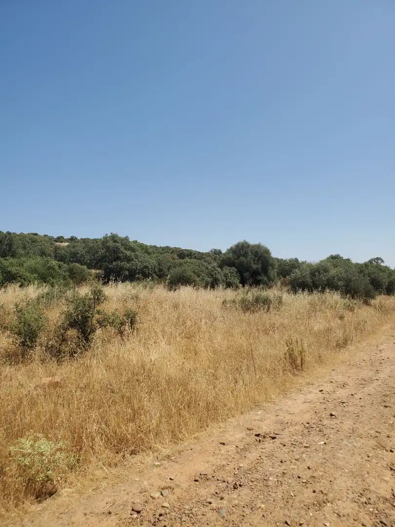 Finca rústica en venta en Área Rural-Valverde-Las Casas