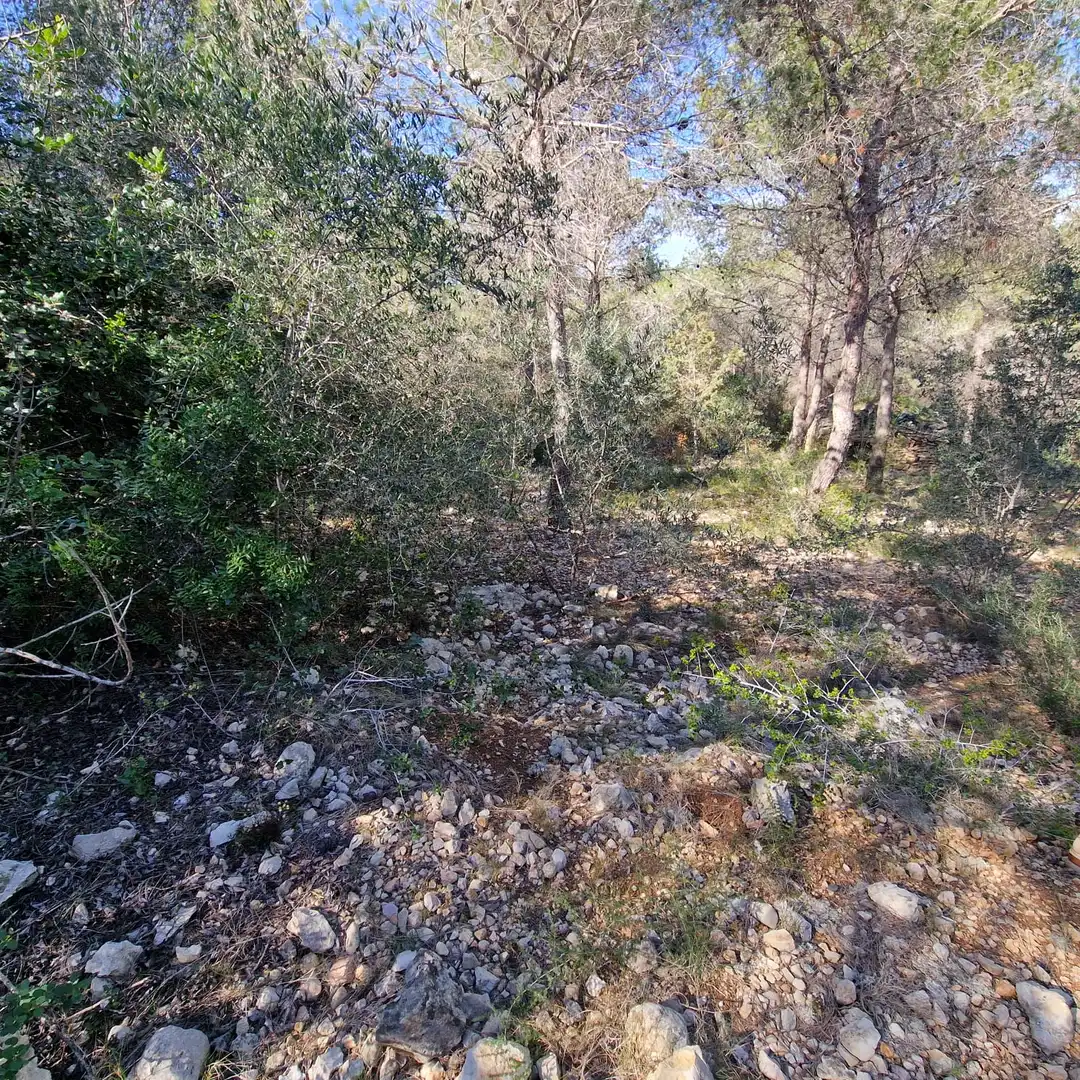 Terreno residencial en venta en Carrer Gessamí 18, imagen 34