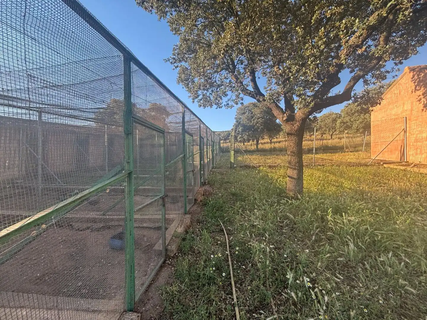 Casa rústica en venda a Malagón, imagen 24