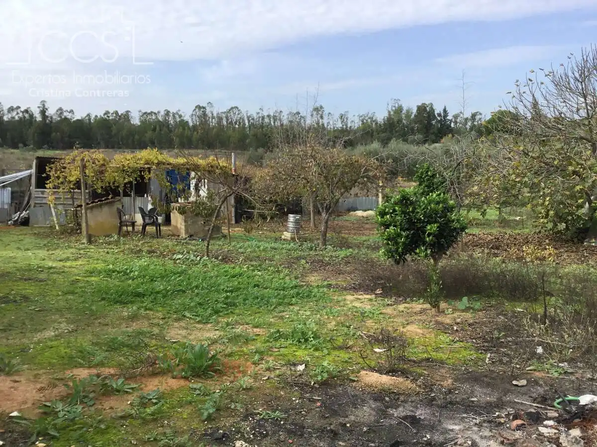 Casa rústica amb piscina en venda a Almonte ciudad, imagen 22