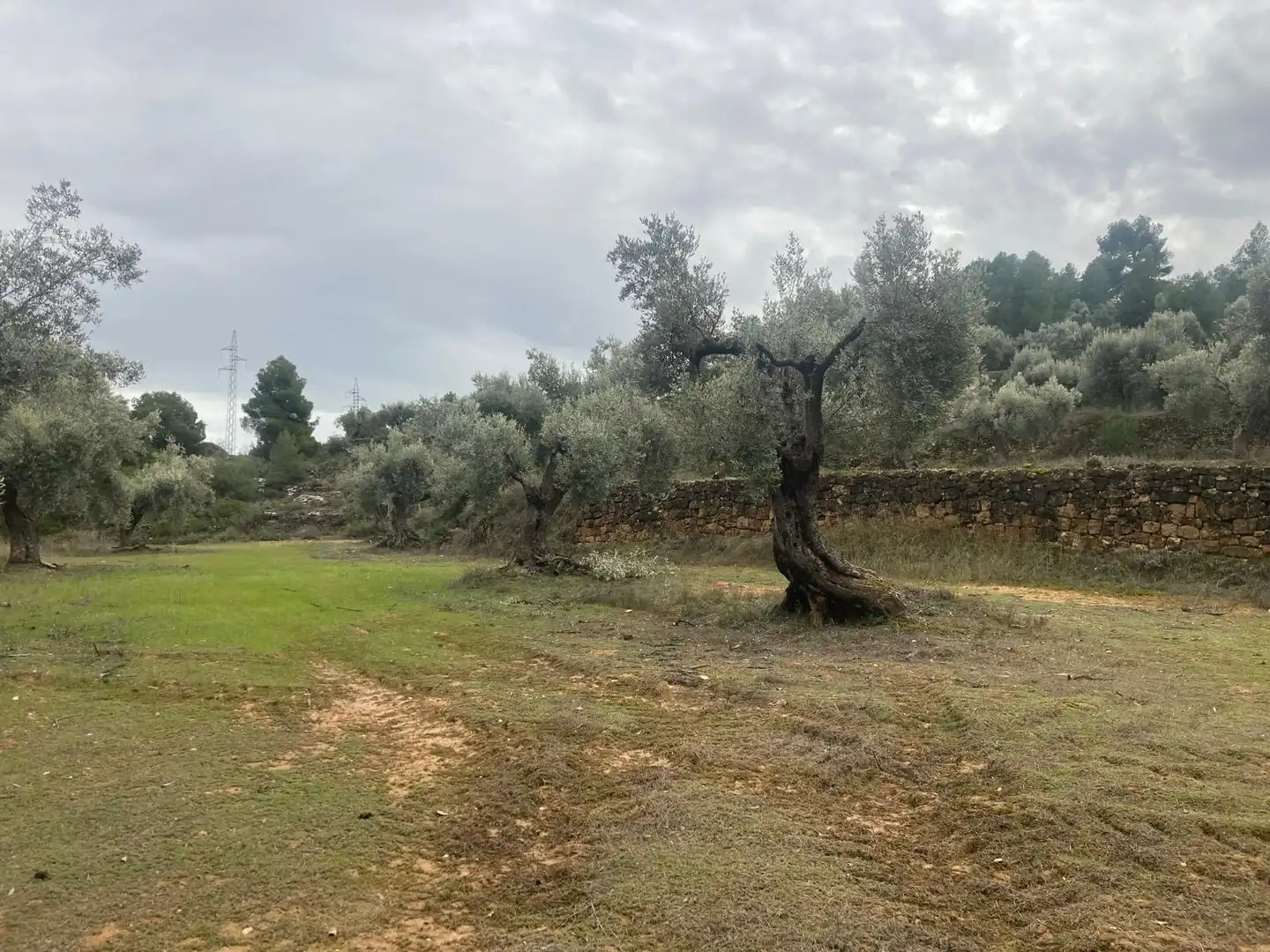 Terreni e lotti in vendita a Valderrobres, imagen 2