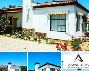 Exterior view of Country house for sale in Bollullos Par del Condado  with Air Conditioner and Swimming Pool