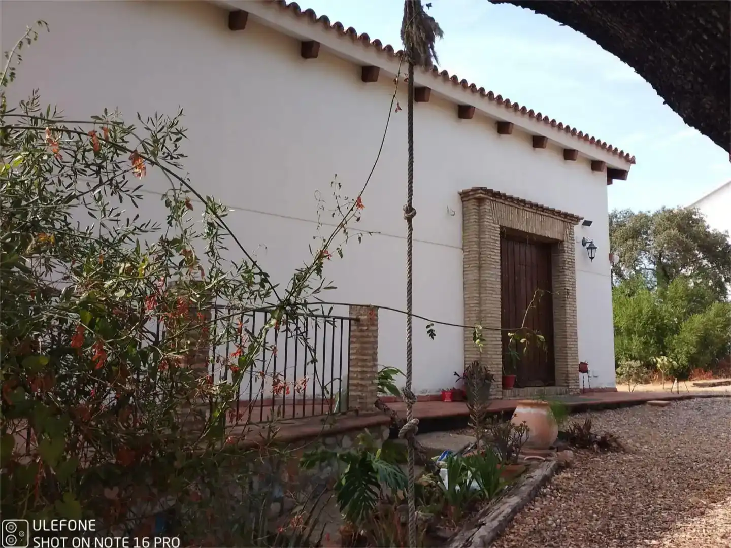 Vista exterior de Casa o xalet en venda en Guillena amb Aire condicionat