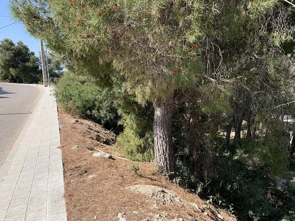 Office for sale in C/ Petunia , Valldemar - Montmar