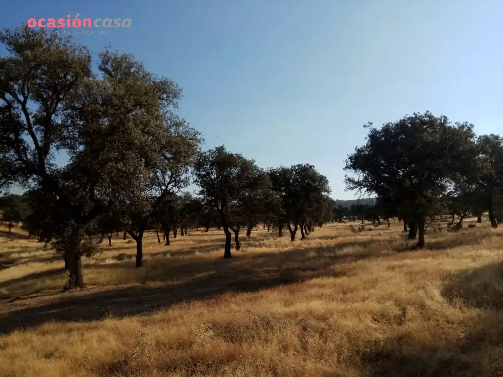 Country homes for sale in Torrecampo