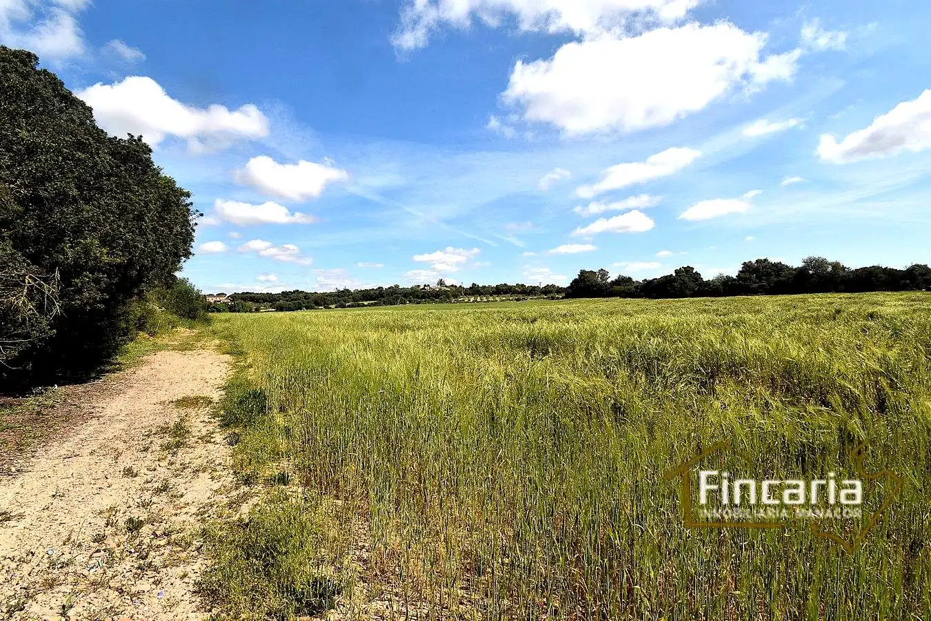Lands and plots for sale in Ma-5120, imagen 5