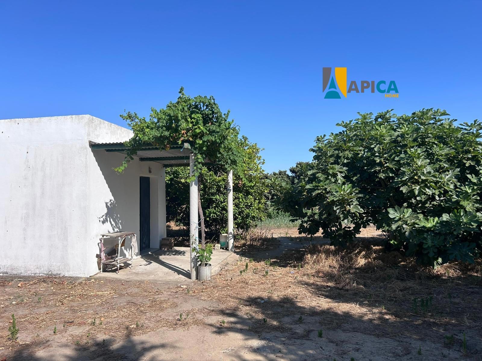 Land for sale in Barbate