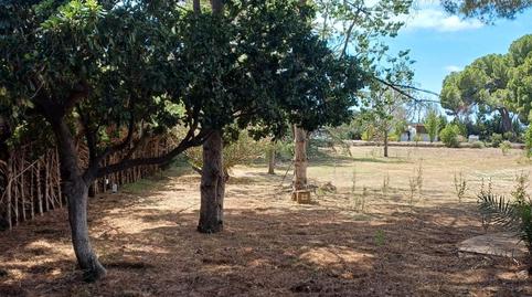 Foto 3 de Casa o chalet en venta en Vilallonga del Camp, Tarragona