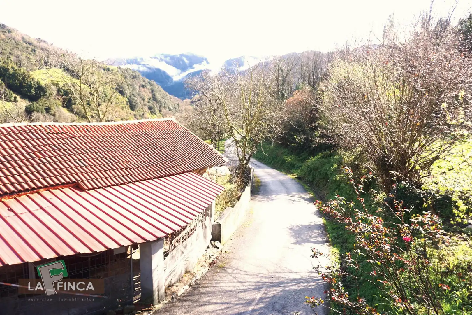 Vista exterior de Casa o chalet en venta en Belmonte de Miranda