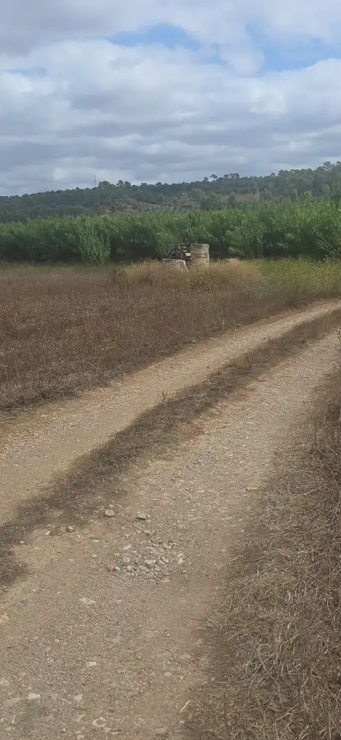 Terreni e lotti in vendita a Petra, imagen 6