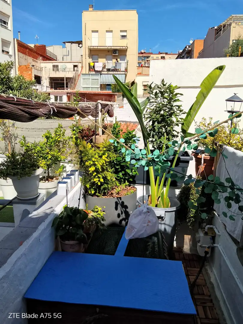 Appartement à vendre à Carrer de l'Historiador Cardús, imagen 10