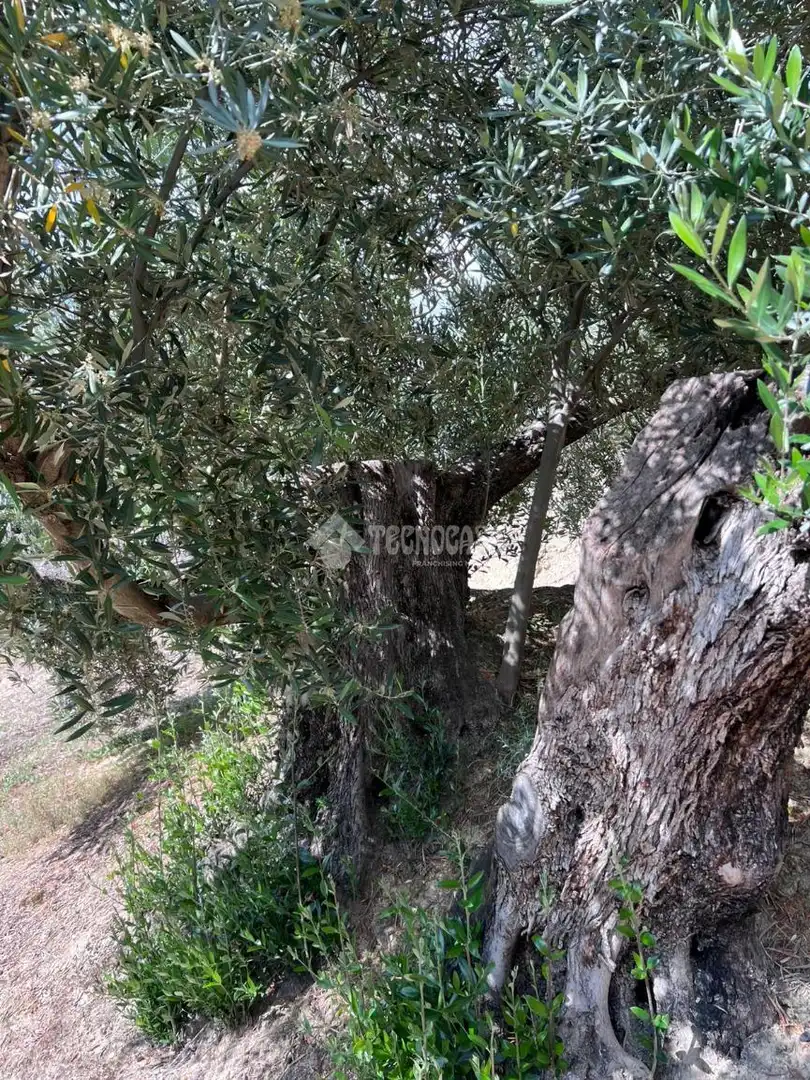 Finca rústica en venda en Jaén amb Aire condicionat i Moblat